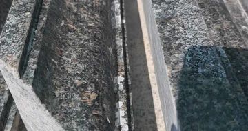 襄阳英国棕别墅线条